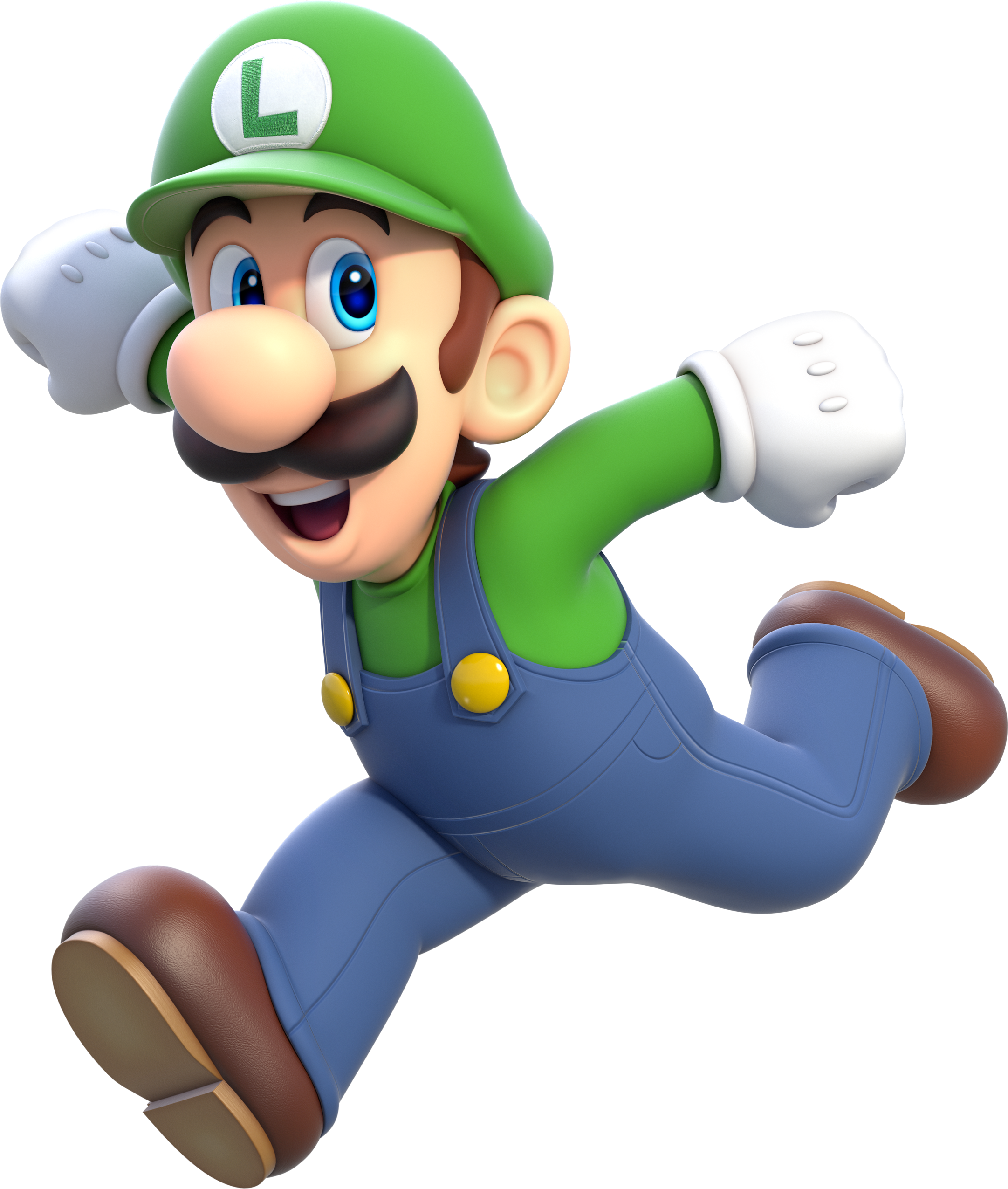 Detail Images Of Luigi And Mario Nomer 8