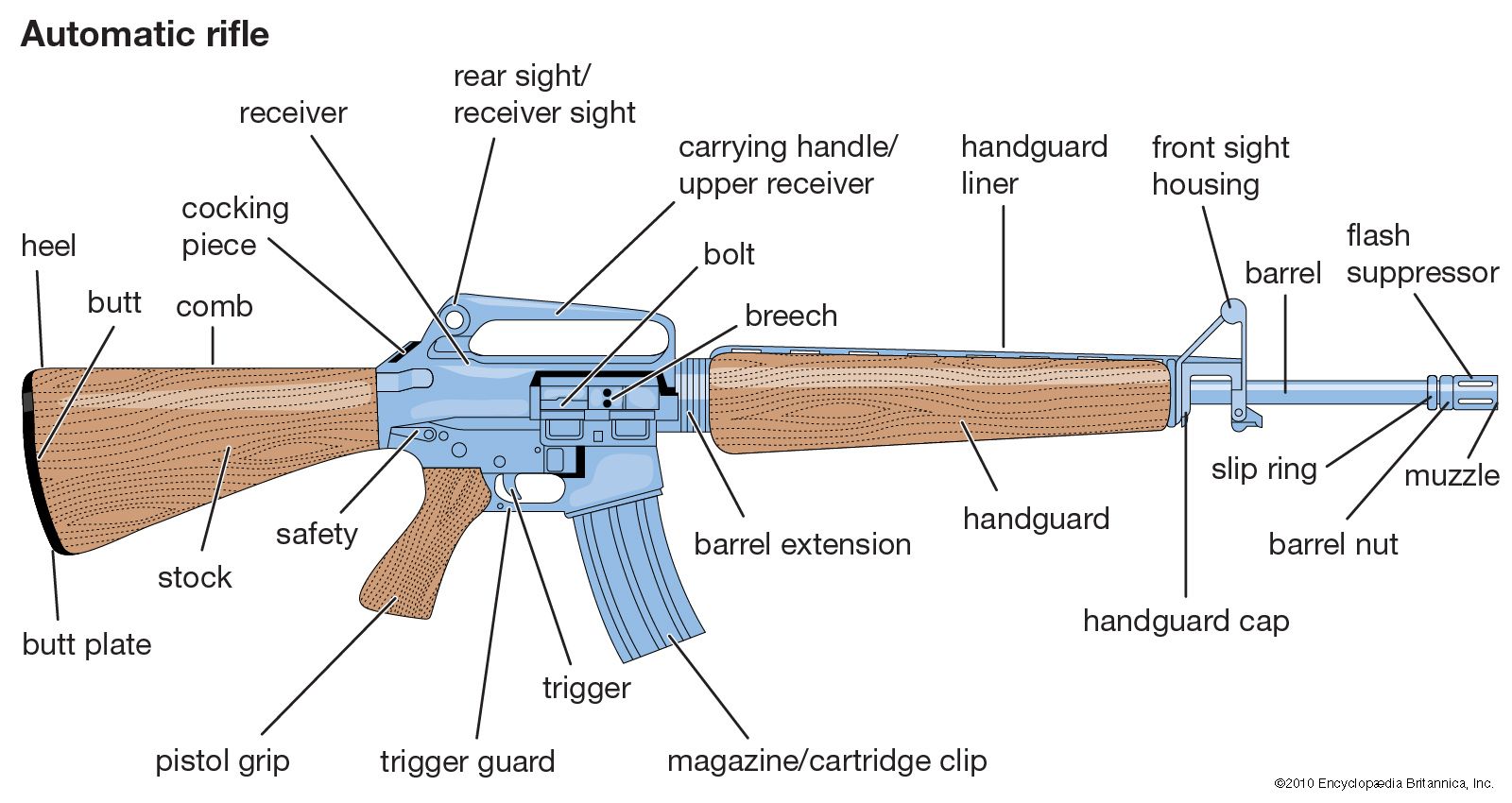 Detail Images Of M16 Rifles Nomer 9