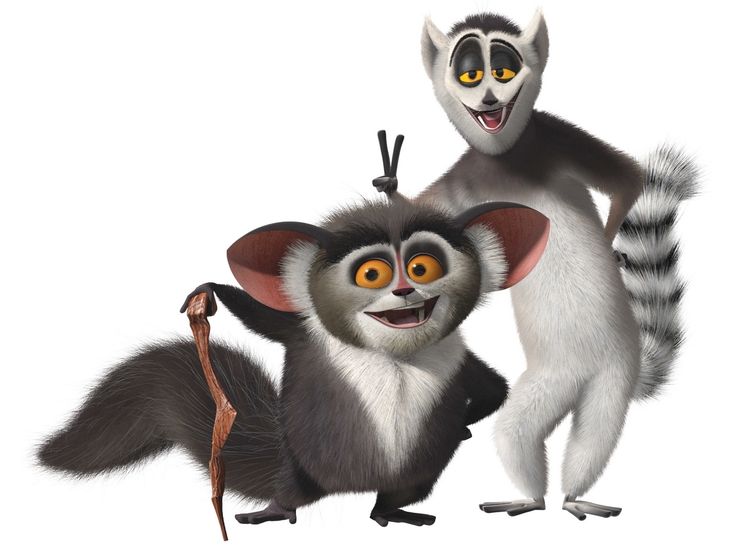 Detail Images Of Madagascar Movie Nomer 14