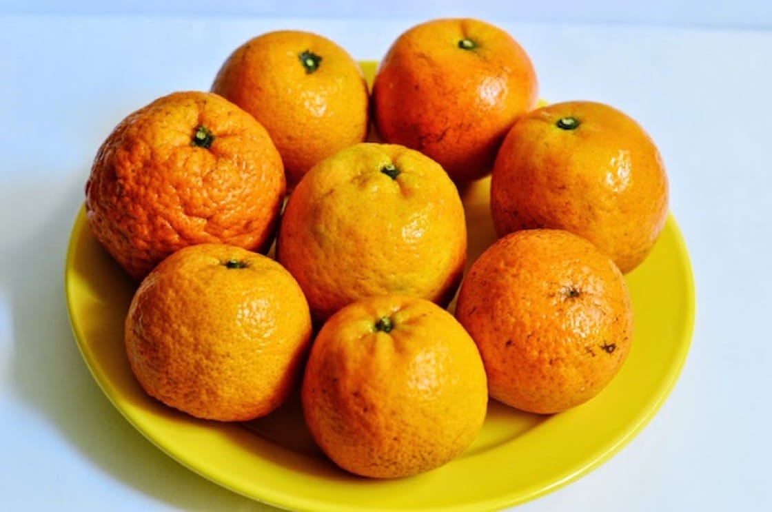 Detail Images Of Mandarin Oranges Nomer 51
