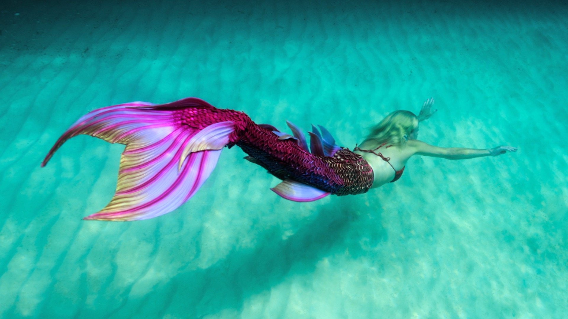 Detail Images Of Mermaids Nomer 11