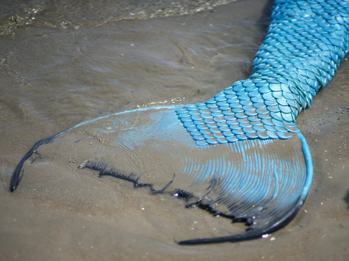 Detail Images Of Mermaids Nomer 15