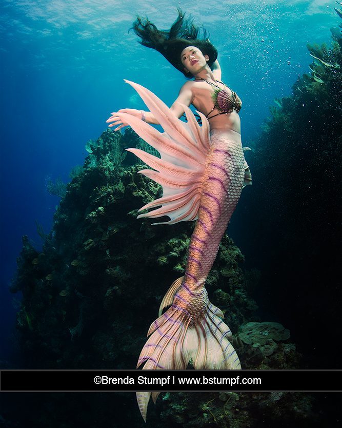 Detail Images Of Mermaids Nomer 23