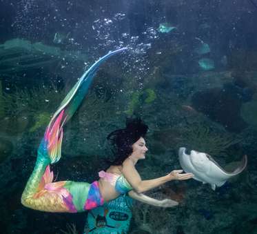 Detail Images Of Mermaids Nomer 25