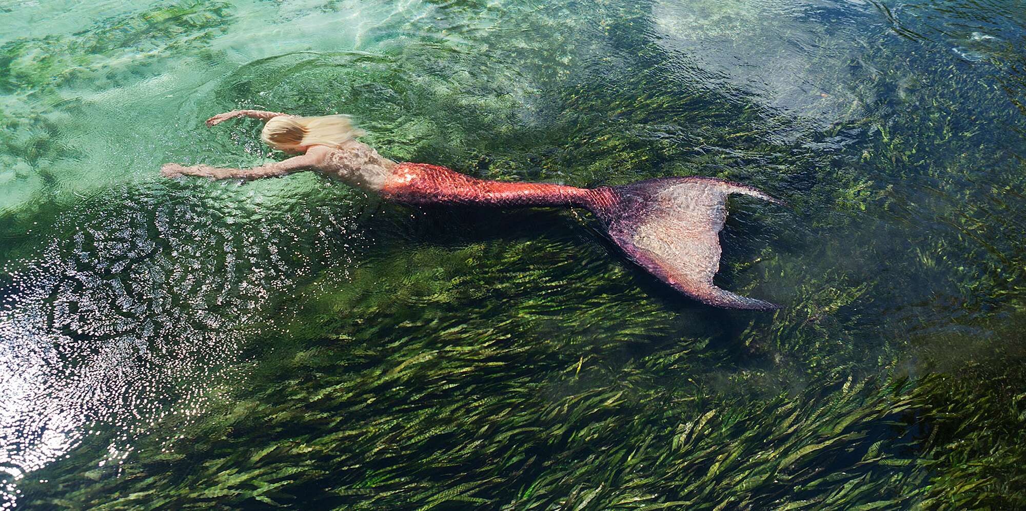 Detail Images Of Mermaids Nomer 3