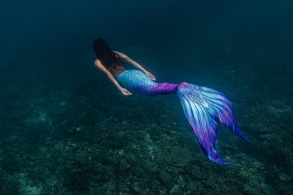 Detail Images Of Mermaids Nomer 52
