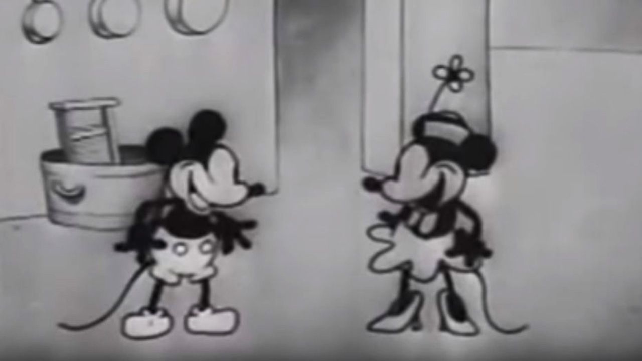 Detail Images Of Mickey And Minnie Nomer 27