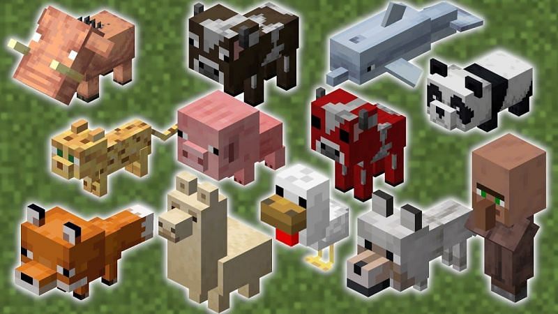 Detail Images Of Minecraft Mobs Nomer 20