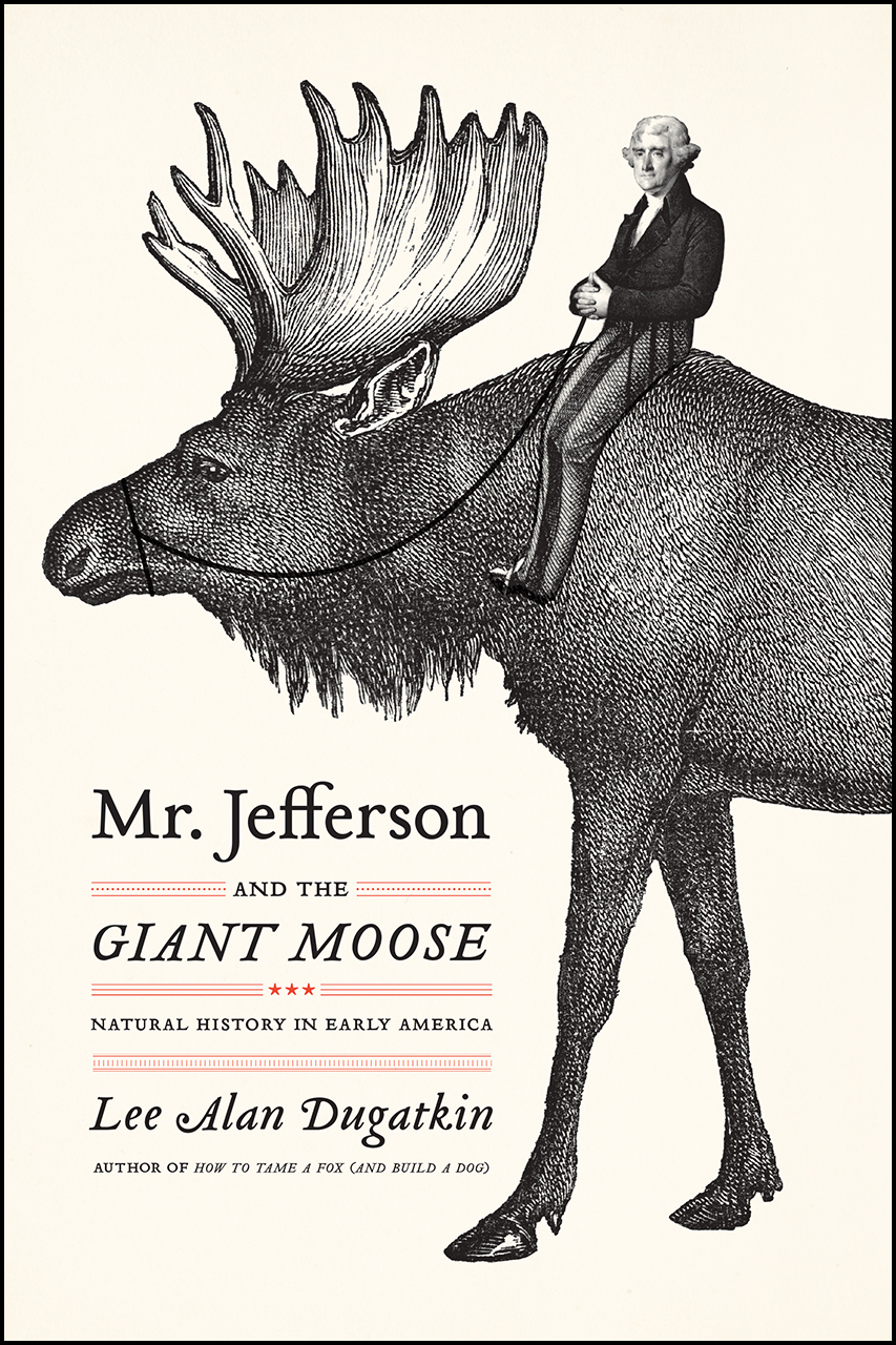 Detail Images Of Moose Nomer 34