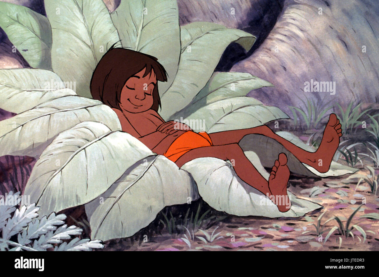 Detail Images Of Mowgli Nomer 25