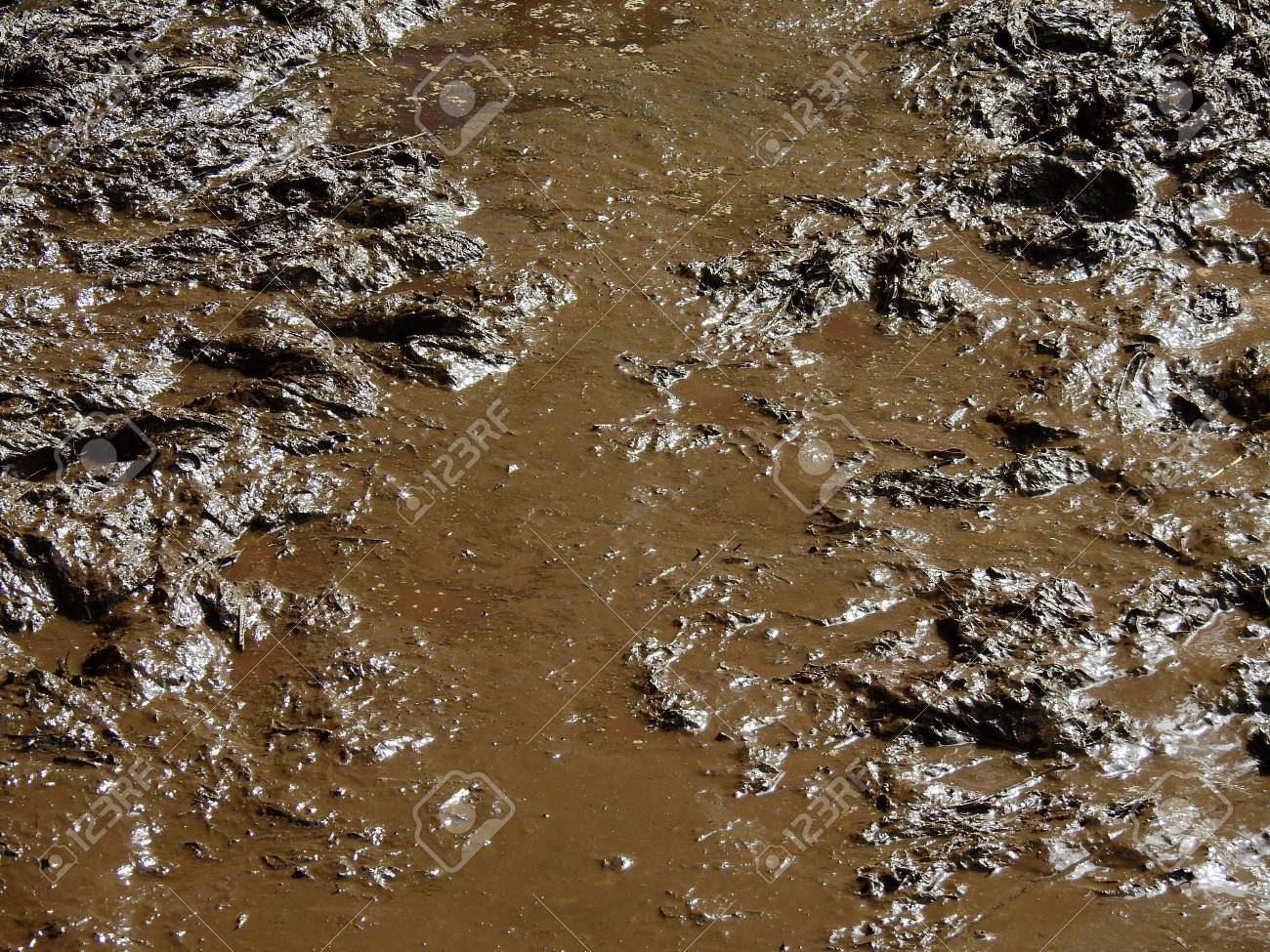 Detail Images Of Mud Nomer 13