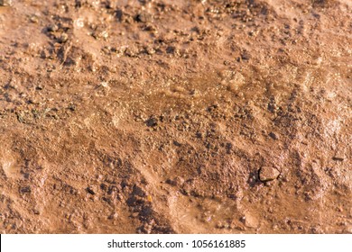 Detail Images Of Mud Nomer 15
