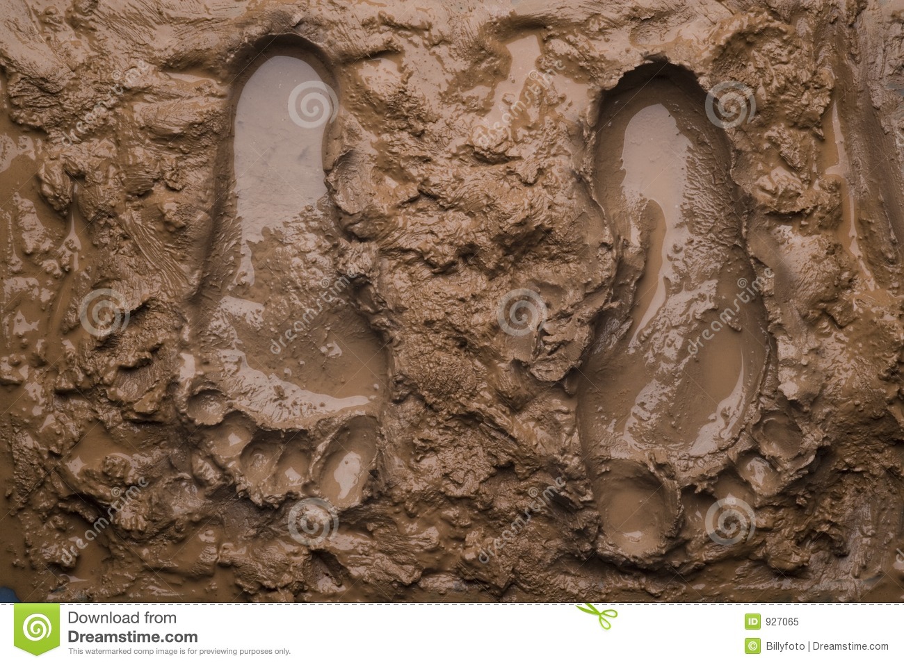 Detail Images Of Mud Nomer 16