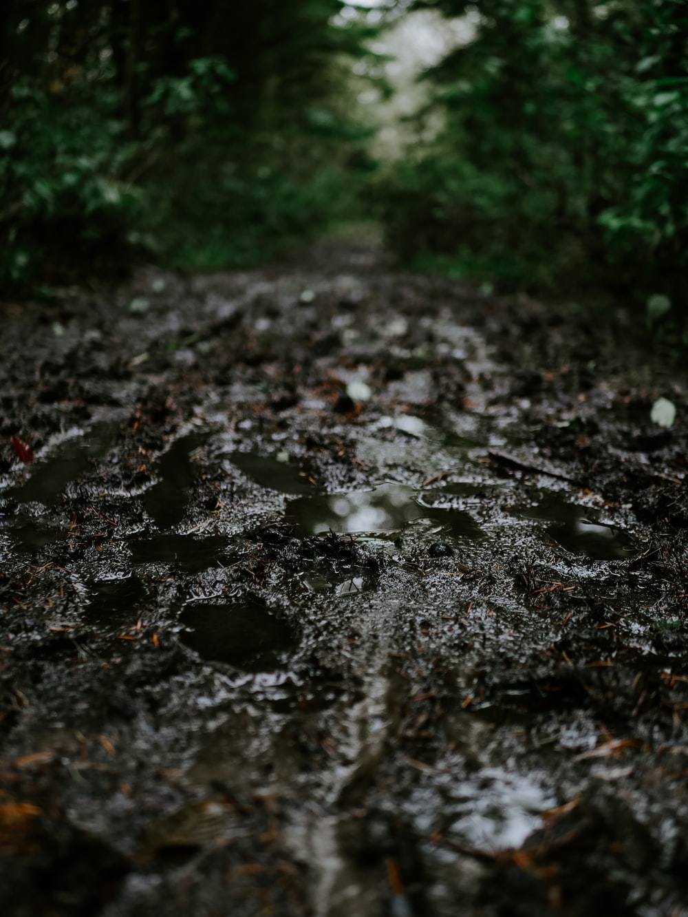Detail Images Of Mud Nomer 17