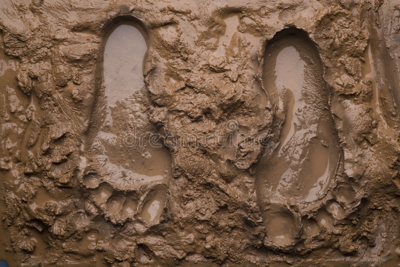 Detail Images Of Mud Nomer 19