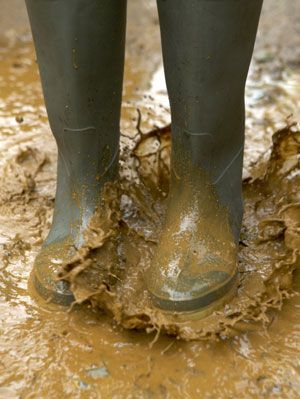 Detail Images Of Mud Nomer 23