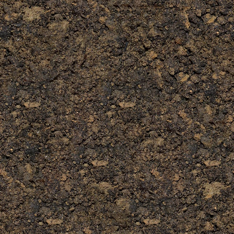 Detail Images Of Mud Nomer 27