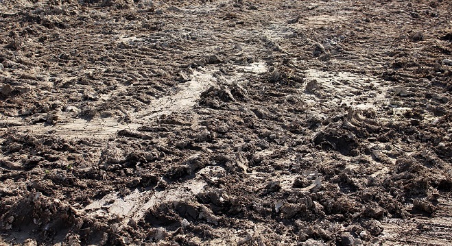 Detail Images Of Mud Nomer 28