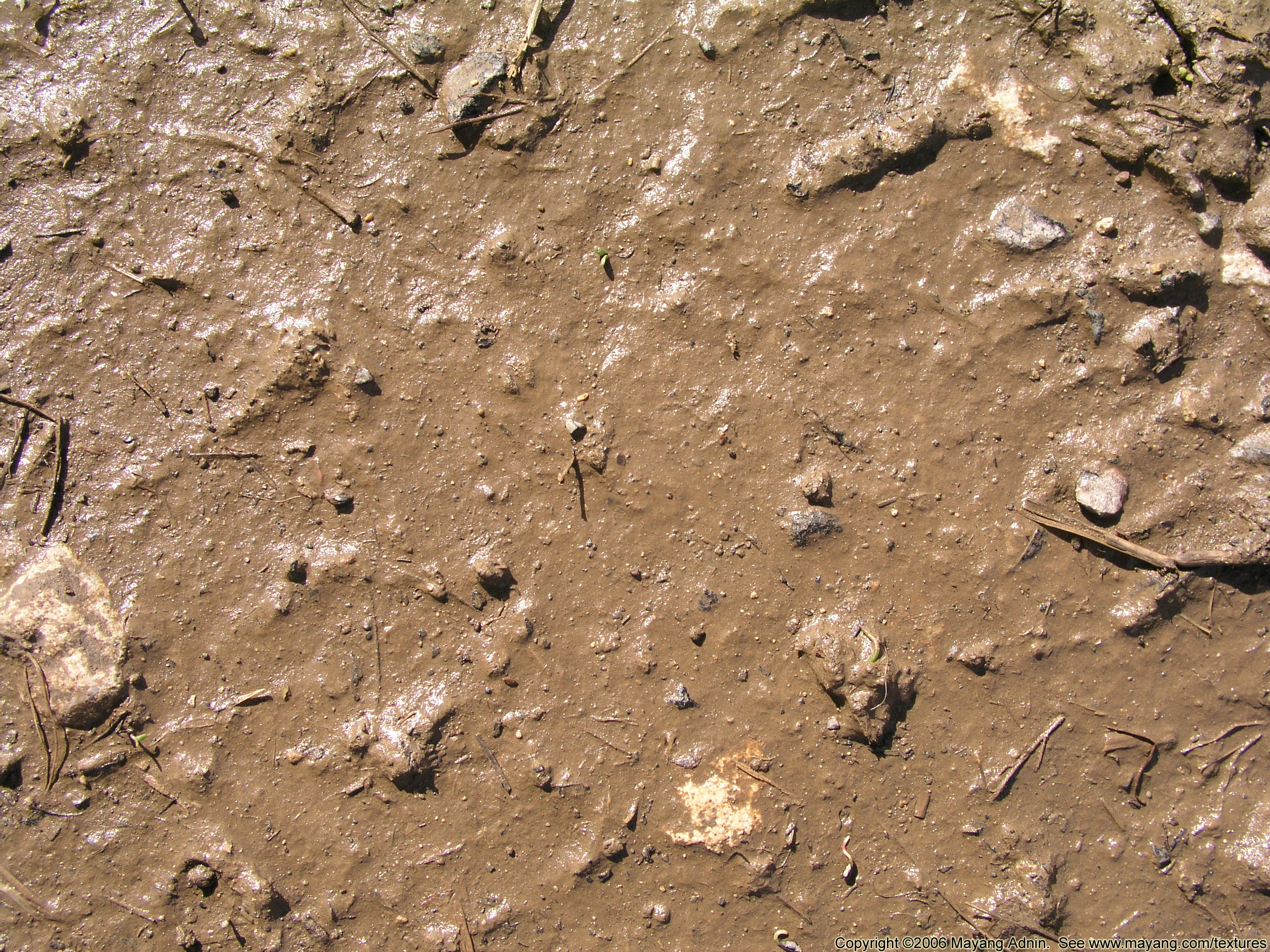 Detail Images Of Mud Nomer 36