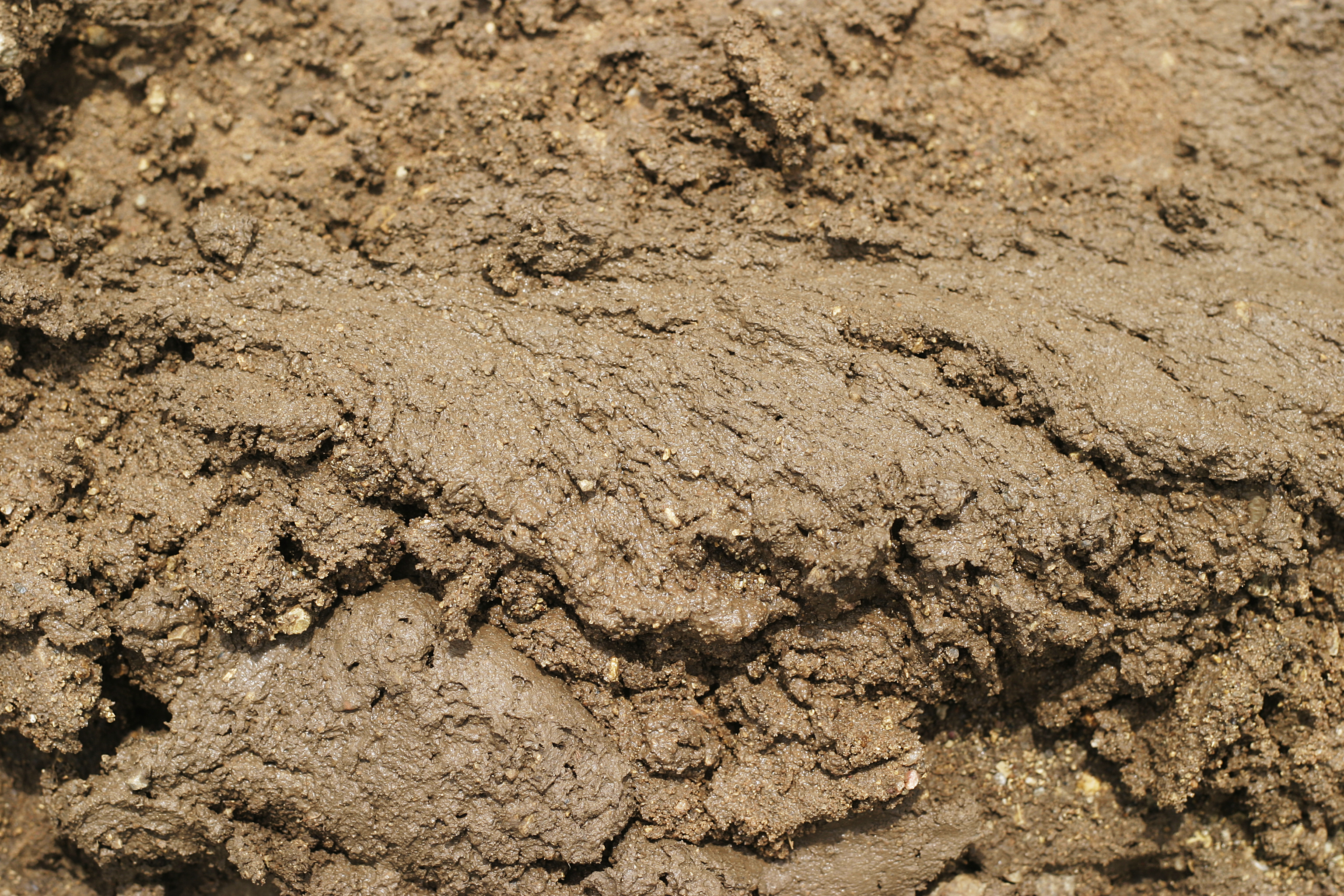 Detail Images Of Mud Nomer 5