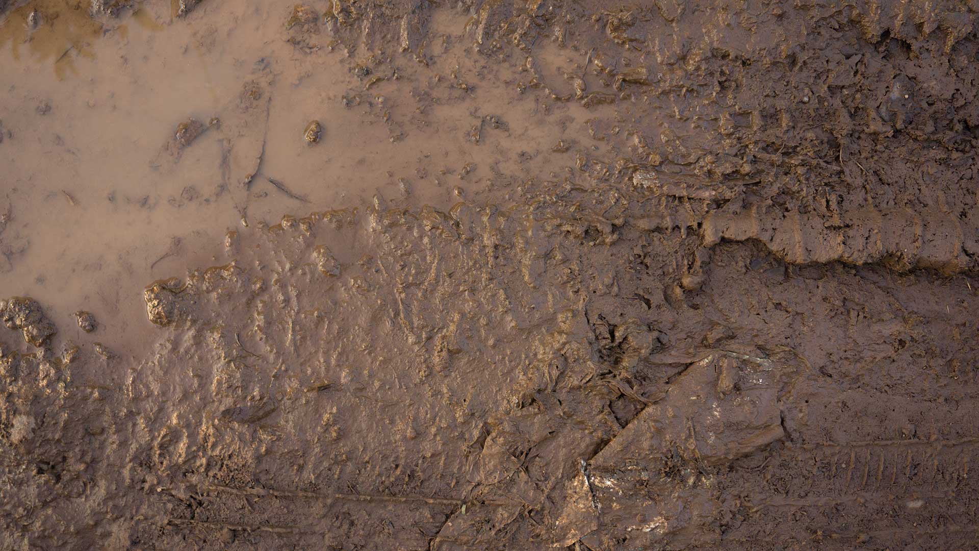 Detail Images Of Mud Nomer 42