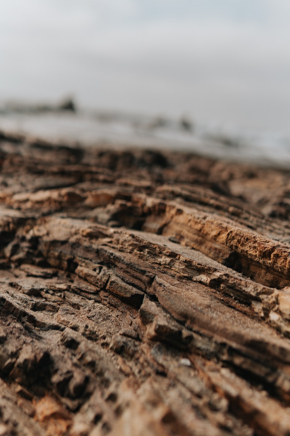 Detail Images Of Mud Nomer 54