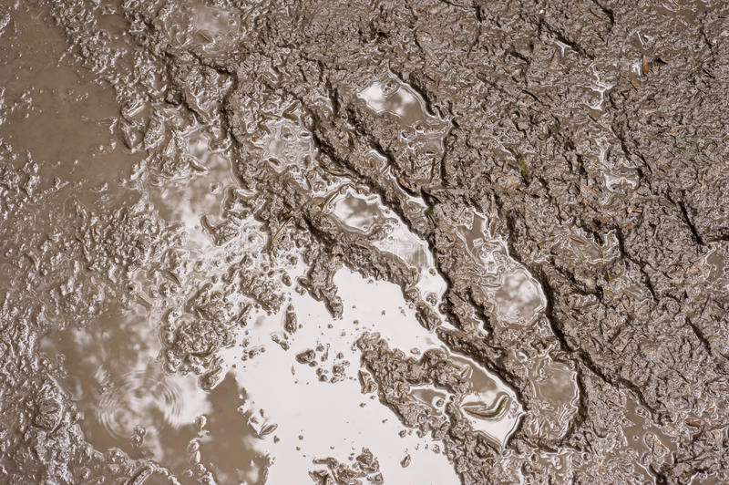 Detail Images Of Mud Nomer 7