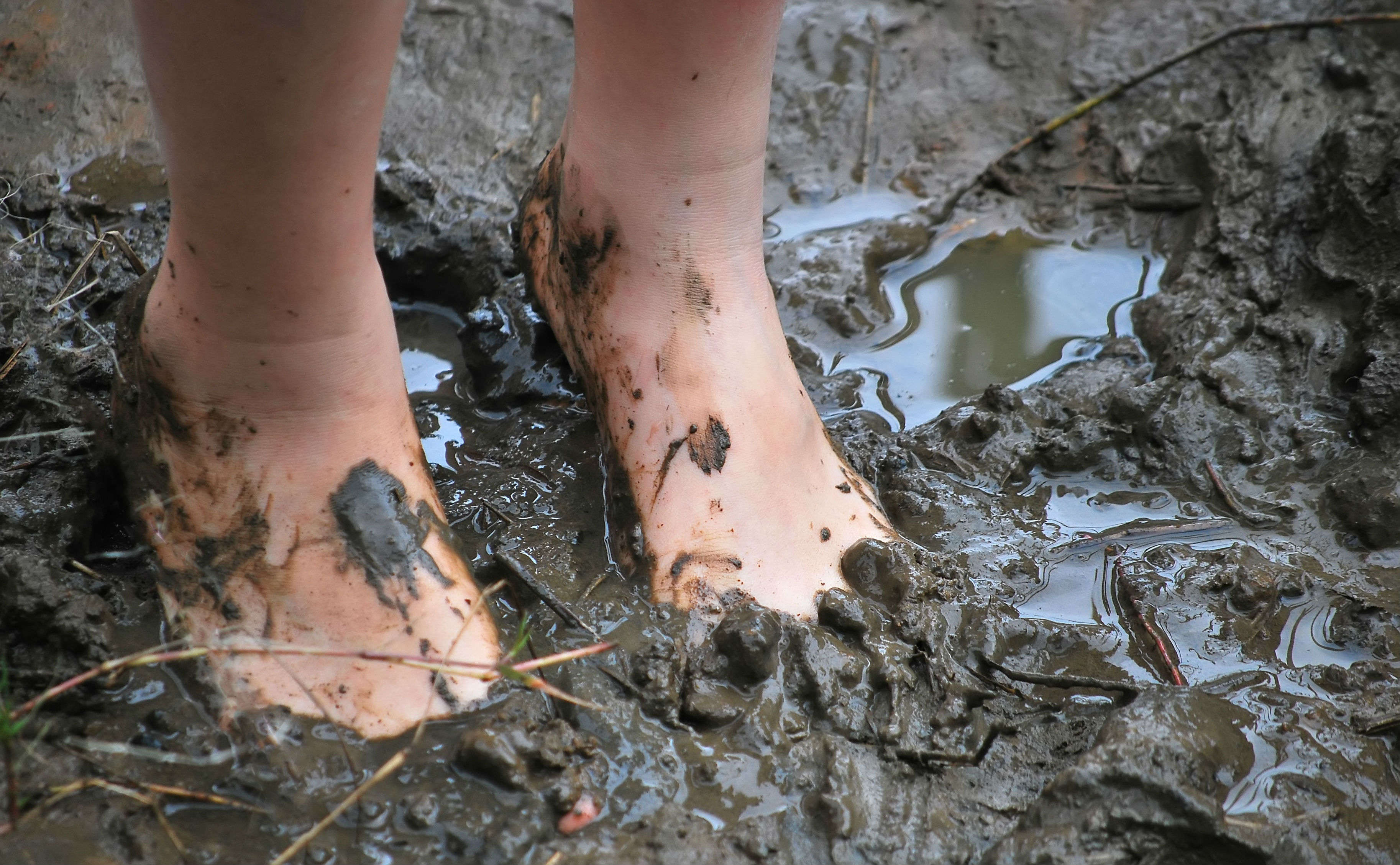 Detail Images Of Mud Nomer 8