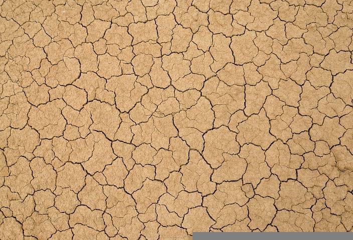 Detail Images Of Mud Nomer 9