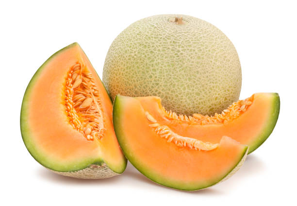 Detail Images Of Muskmelon Nomer 3