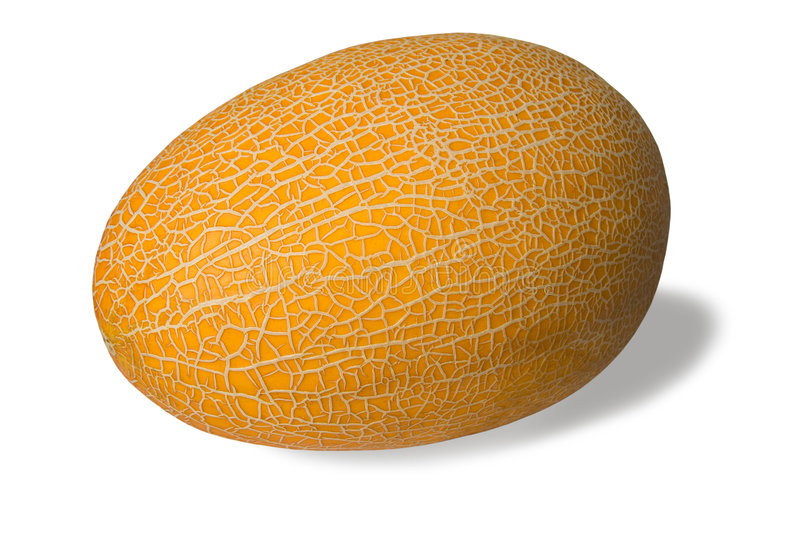 Detail Images Of Muskmelon Nomer 29