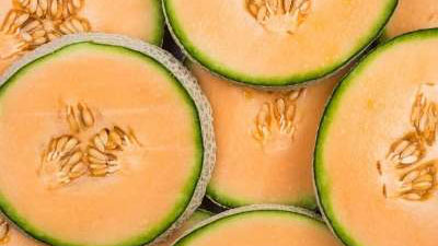 Detail Images Of Muskmelon Nomer 53