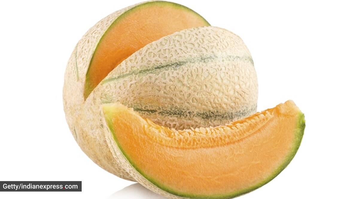 Detail Images Of Muskmelon Nomer 7