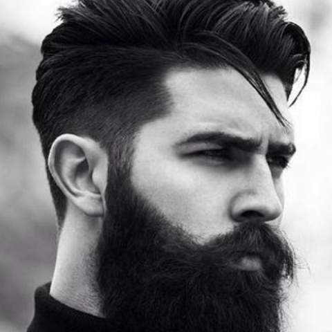 Detail Images Of Mustaches And Beards Nomer 11
