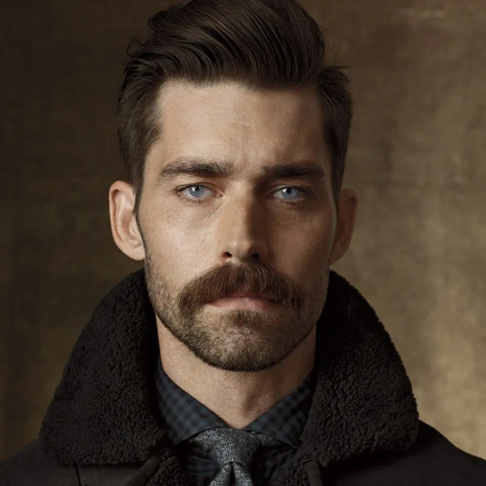 Detail Images Of Mustaches And Beards Nomer 13