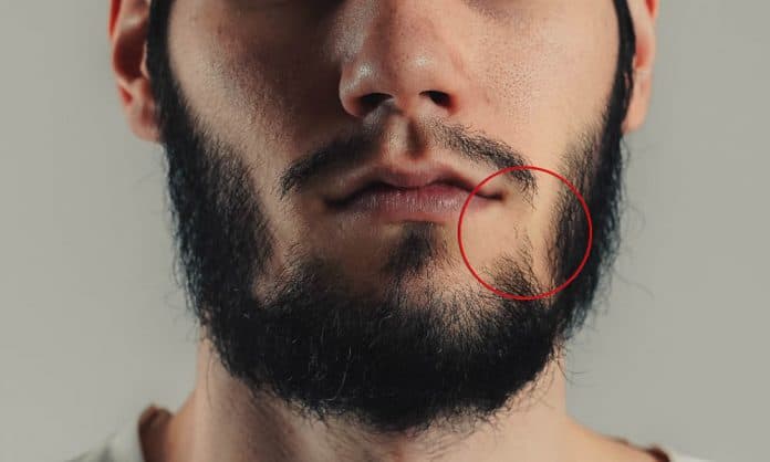Detail Images Of Mustaches And Beards Nomer 23