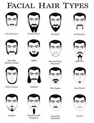 Detail Images Of Mustaches And Beards Nomer 53