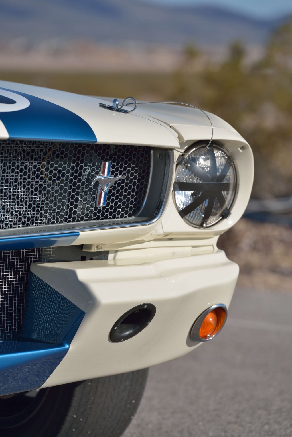 Detail Images Of Mustangs Nomer 39