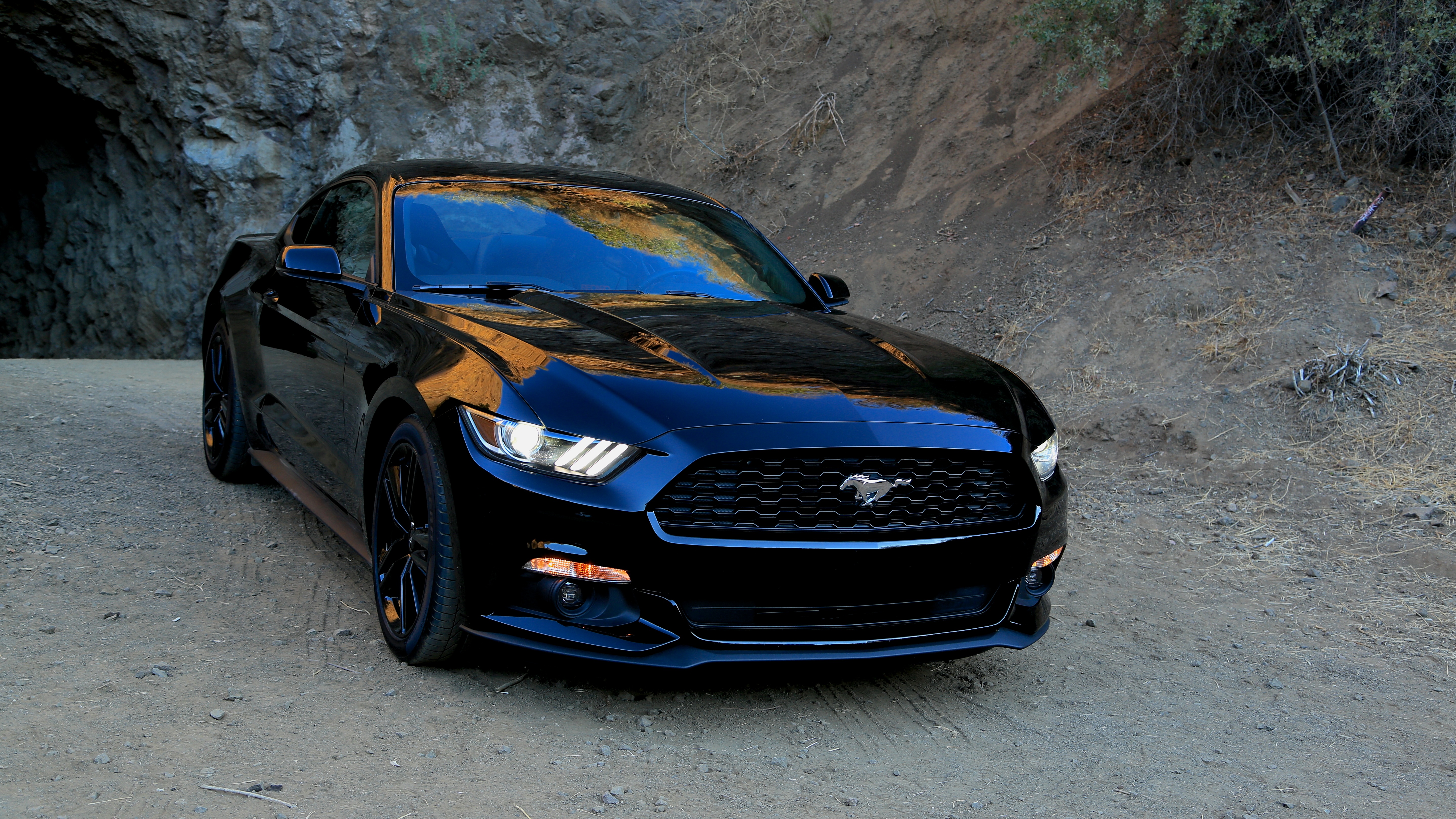 Detail Images Of Mustangs Cars Nomer 21