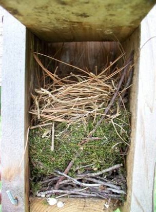 Detail Images Of Nests Nomer 37