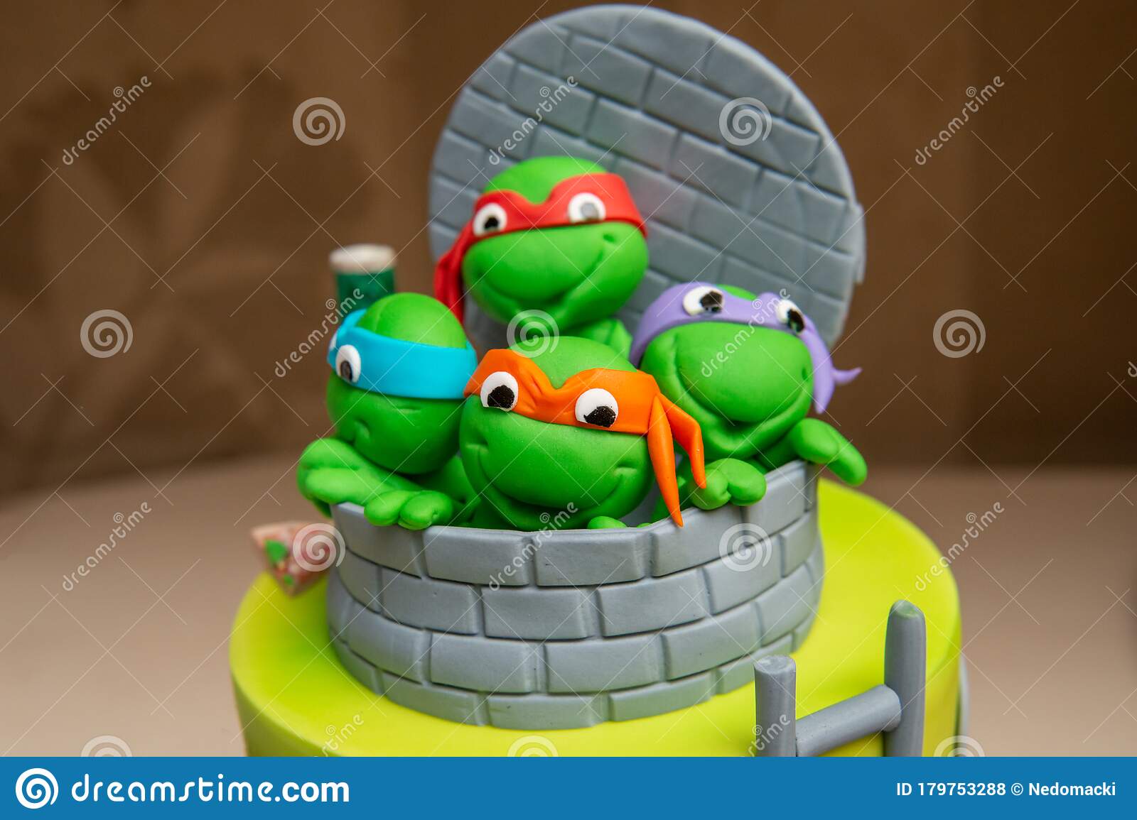 Detail Images Of Ninja Turtle Cakes Nomer 33