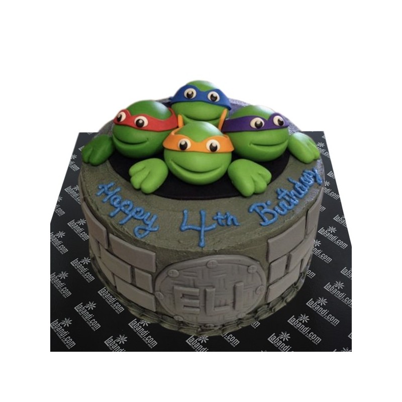 Detail Images Of Ninja Turtle Cakes Nomer 51