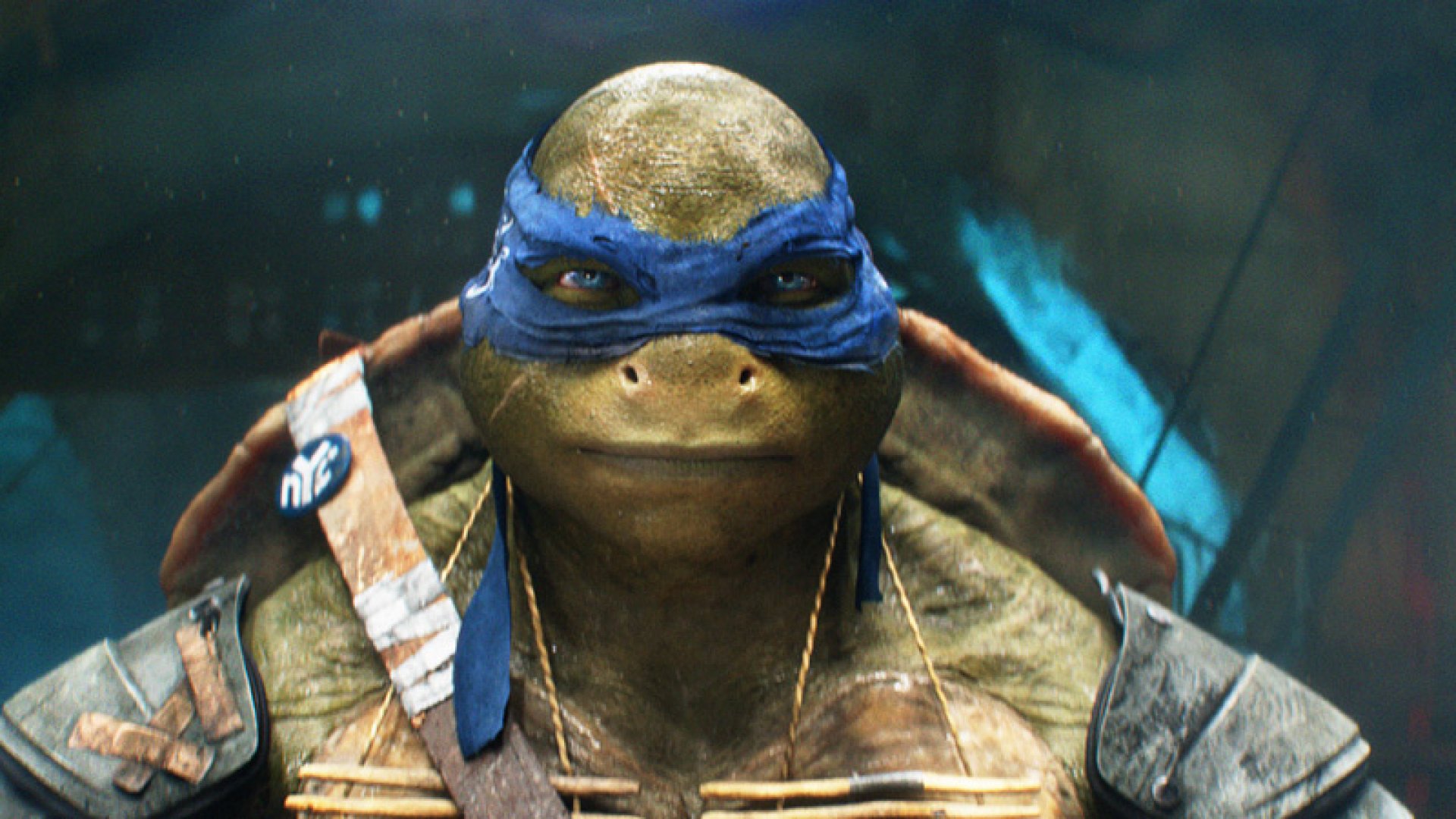 Detail Images Of Ninja Turtles Nomer 6