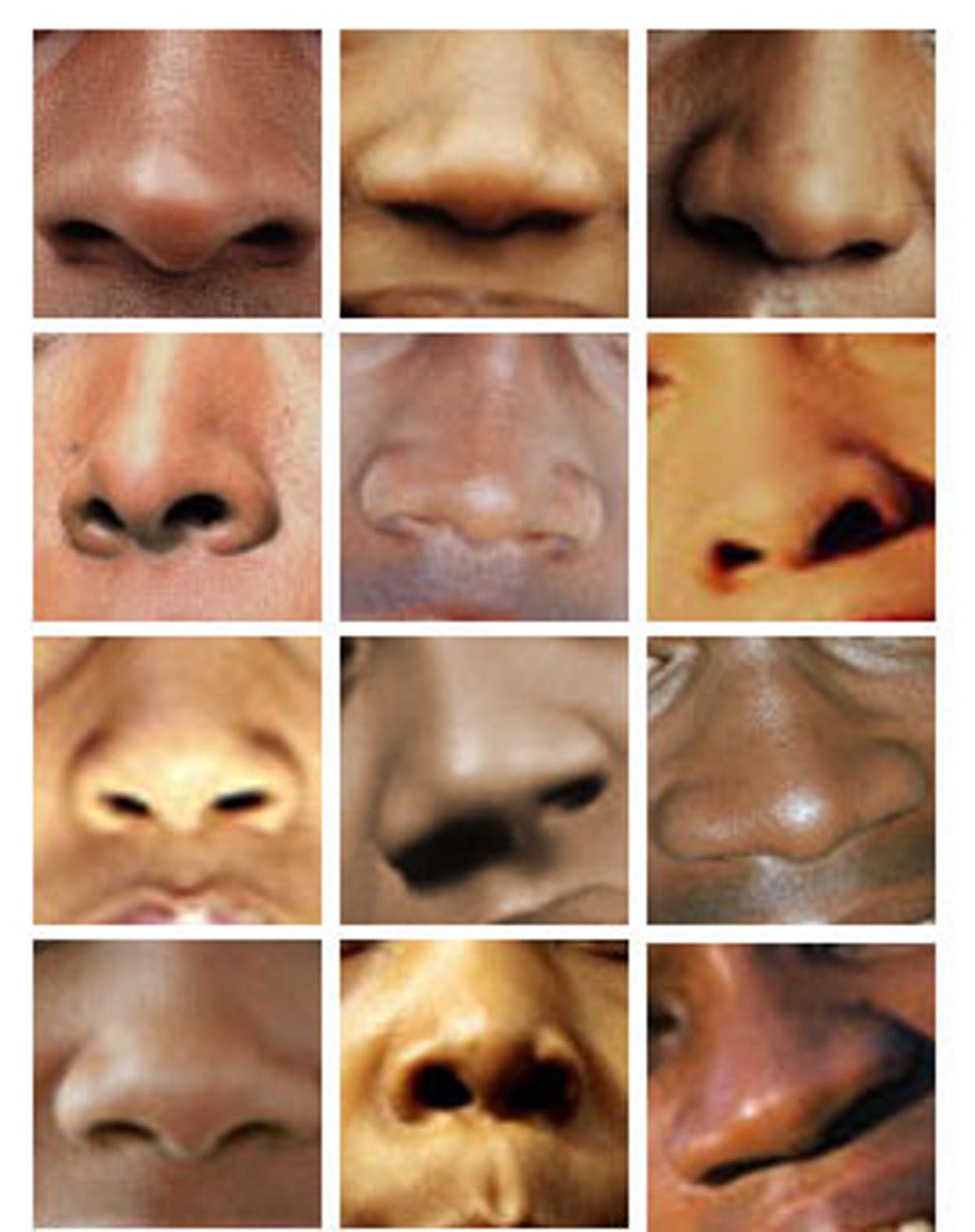 Detail Images Of Noses Nomer 20