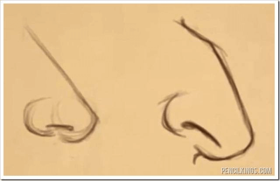 Detail Images Of Noses Nomer 28