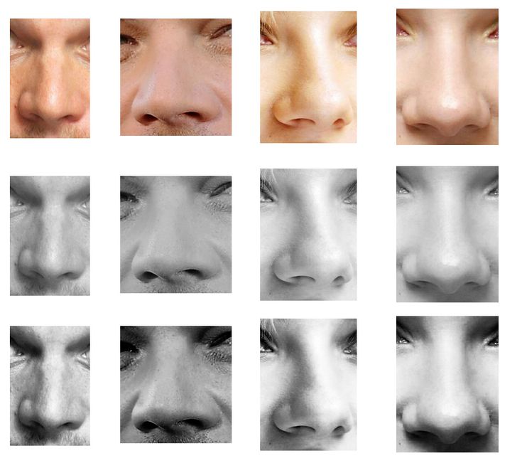 Detail Images Of Noses Nomer 32