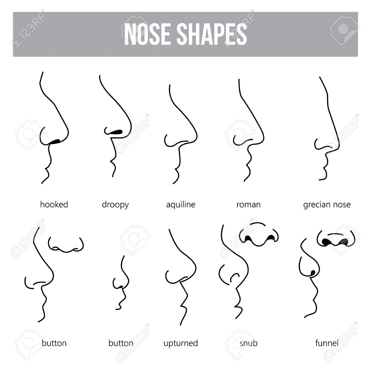 Detail Images Of Noses Nomer 55