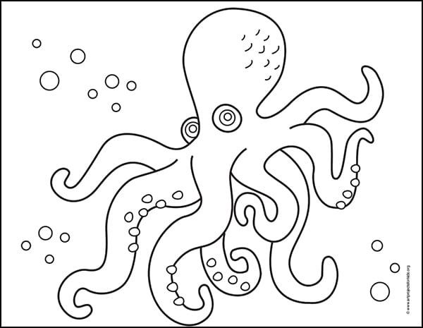 Detail Images Of Octopus Drawings Nomer 11