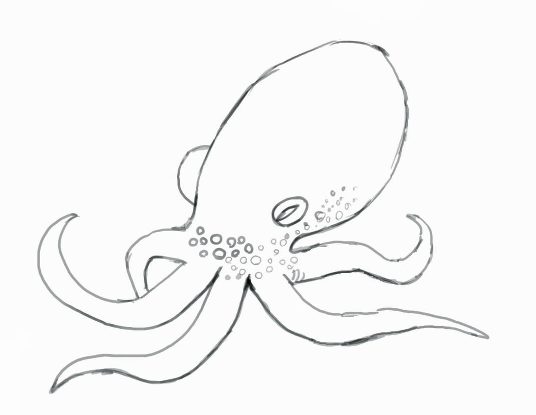 Detail Images Of Octopus Drawings Nomer 16