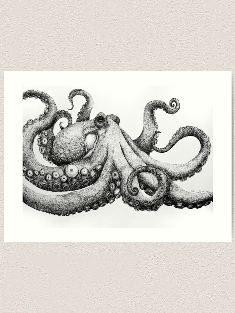 Detail Images Of Octopus Drawings Nomer 18